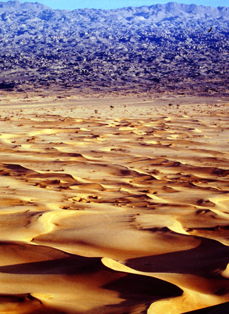 Tandem - UN GRAIN DE SABLE