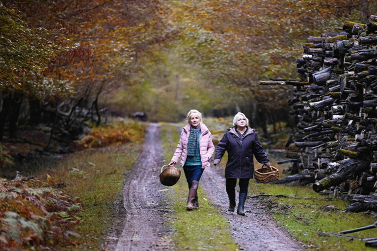 Tandem - QUAND VIENT L'AUTOMNE